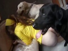 Woman bestiality xxx